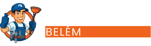 ícone desentupidora belém